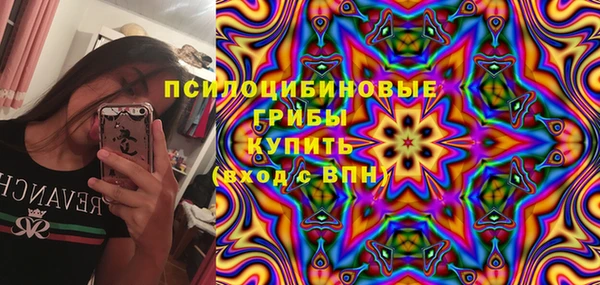 бутират Туринск